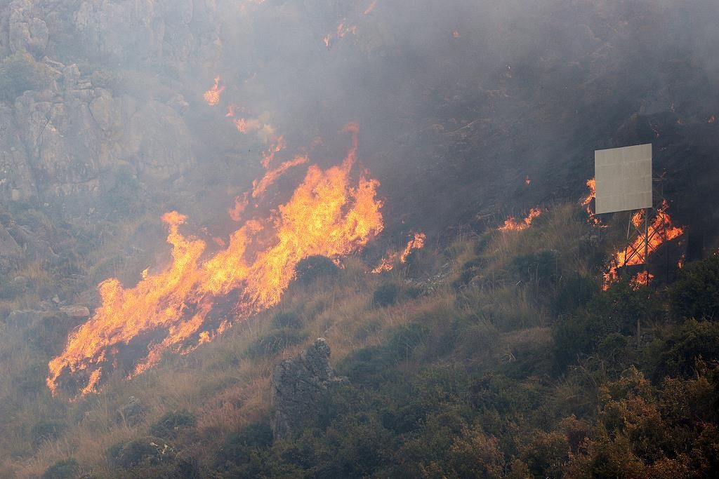 意大利西西里岛大规模林火致两死 学校被迫停课